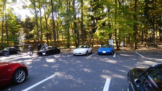 DSC_2414 - コピー.jpg