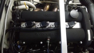 DSC_3374.jpg